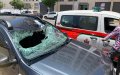 Sheep Leaps from 7th Floor in Morocco, Sparking Pre-Eid al-Adha Investigation