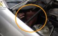 Shocking Video: Migrants Found Hidden in Car Engine at Spanish Border