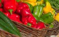 Spain Leads Global Demand for Moroccan Peppers, Importing 45% of Exports