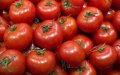 Spanish Authorities Investigate Alleged Tomato Smuggling Ring from Morocco