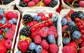 Spanish Berry Farmers Face Pressure as Moroccan Exports Surge