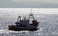 Spanish Civil Guard Expels Moroccan Fishing Vessel from Ceuta Waters