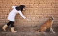 Spanish Couple Jailed for Smuggling Rabid Dog from Morocco, Endangering Public Health