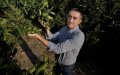 Spanish Farmer Wins Supreme Court Case Against Moroccan King Over Mandarin Patent