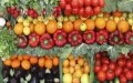 Spanish Firms Accused of Mislabeling Moroccan Produce, Evade Sanctions