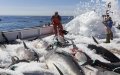 Spanish Fishermen Face Uncertainty as EU-Morocco Fishing Deal Expires