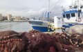 Spanish Fishing Vessel Vanishes Off Morocco Coast, Search Underway for 6 Crew Members