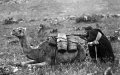 Spanish Government Urged to Apologize for Chemical Weapons Use in Rif War