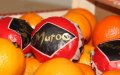 Spanish Lawmakers Push Bill to Combat Mislabeling of Imported Produce