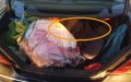 Spanish Police Arrest Driver Smuggling Moroccan Migrant in Car Trunk at Ceuta Port