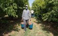 Spanish Police Bust Human Trafficking Ring Exploiting Moroccan Migrants