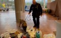 Spanish Police Bust Major Drug Ring: Cocaine-Hashish Smuggling Network Dismantled