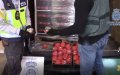 Spanish Police Seize $49 Million Worth of Hashish Disguised as Tomatoes