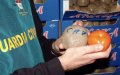 Spanish Police Seize 7 Tons of Hashish, Bust Major Drug Ring in Costa del Sol