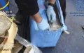 Spanish Police Seize 4.4 Tons of Moroccan Cannabis, Arrest Two Britons in Maritime Bust
