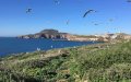 Spanish Prosecutor Clears Moroccan Fish Farms Near Chafarinas Islands