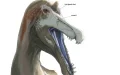 Spinosaur Salt Glands Morocco Dinosaur Discovery