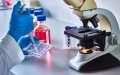 Stanford Study: 23 Moroccan Scientists Rank Among World's Top 2% of Researchers