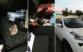 Stone-Throwing Incidents Plague Morocco's Casablanca-Rabat Highway, Endangering Motorists