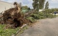Storm Kirk Weakens, Spares Morocco as Europe Faces Heavy Rain and Wind