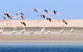 Stranded Tourists Find Solace in Morocco's Coastal City of Dakhla During COVID-19 Lockdown