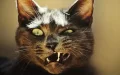 Stray Cat Attack on Councilor Highlights Casablanca's Animal Control Crisis