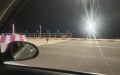 Stray dogs invade Moroccan highways