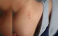 Substitute Teacher Fired After Allegedly Assaulting 8-Year-Old Student in Seine-et-Marne School