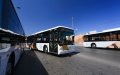 Survey: Nearly Half of Moroccans Dissatisfied with Public Transportation, Especially in Major Cities