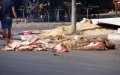 Tangier Collects Over 7,000 Tons of Waste Following Eid al-Adha Celebrations