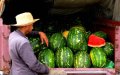 Tata Residents Protest Water-Intensive Watermelon Farming Amid Drought Concerns