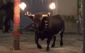 Teen Dies After Bull Attack During Spanish Town Festival