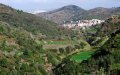 Tétouan: Is part of the forest being transformed into an illegal subdivision?