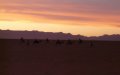 Thunderstorms and Temperature Swings Hit Morocco as Weather Pattern Shifts