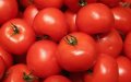 Tomato Prices Soar in Morocco Ahead of Ramadan, Sparking Consumer Outrage