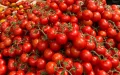 Tomatoes at €5 per kilo: Why Morocco's crisis is exploding your grocery bill in France!