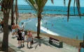 Tourists flee the Canary Islands and take refuge in Morocco