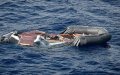 Tragedy at Sea: Eight Migrant Bodies Wash Ashore in Southern Morocco