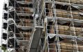 Tragic Construction Accident in Paris Suburb Claims Lives of Two Undocumented Workers