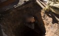 Tragic Mystery: Mother of Two Found Dead in Well Near Casablanca Home