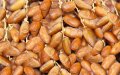 Tunisian Distributors Allegedly Selling Algerian Dates to Morocco as Domestic Product