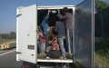 Twelve Migrants Found in Refrigerated Truck Near Antwerp, Belgium