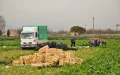 Undocumented in Spain: 13-Hour Days and the Moroccan Workers' Trap