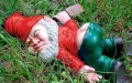 Unusual: a stolen garden gnome in France reappears in Morocco