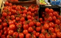 Up to 7.45 euros in France, 1.89 euros for Moroccan tomatoes