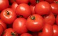 EU Urged to Enforce Morocco Trade Deal Amid Tomato Price Concerns