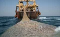 A Virus Detected in Sardines in South Africa Raises Concern as Far as Morocco