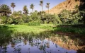 When the Moroccan Sahara was green