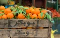 Why your oranges are going to become more expensive