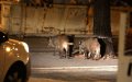 Wild Boar Invasion Sparks Panic in Essaouira, Morocco; Residents Demand Government Action